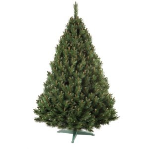 Nohel 9141 Erdeifenyő karácsonyfa, 180 cm, 180 cm