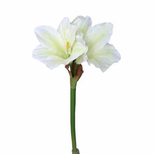 Mű Amaryllis fehér - zöld, 52 cm